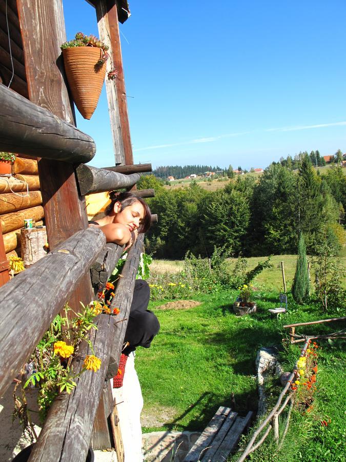 Willa Mountain House Mala Reka Zewnętrze zdjęcie